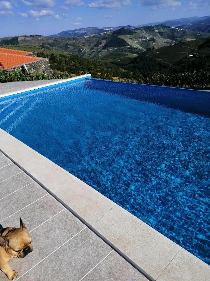 Quinta Teoria - Teoria Guest House Sabrosa Exteriér fotografie